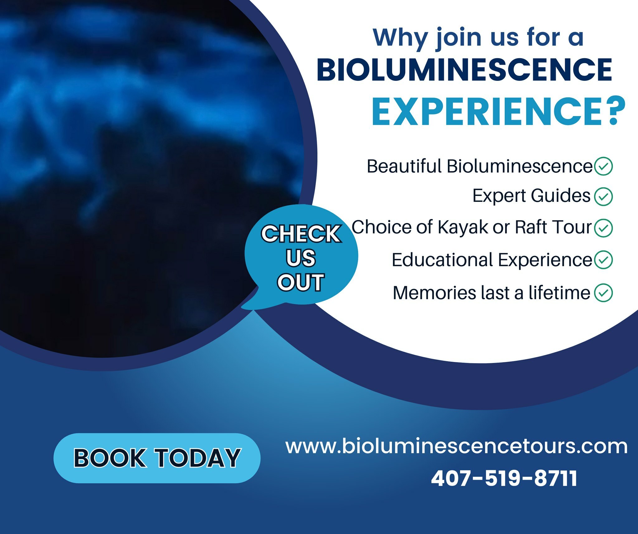 Florida Bioluminescence Tours