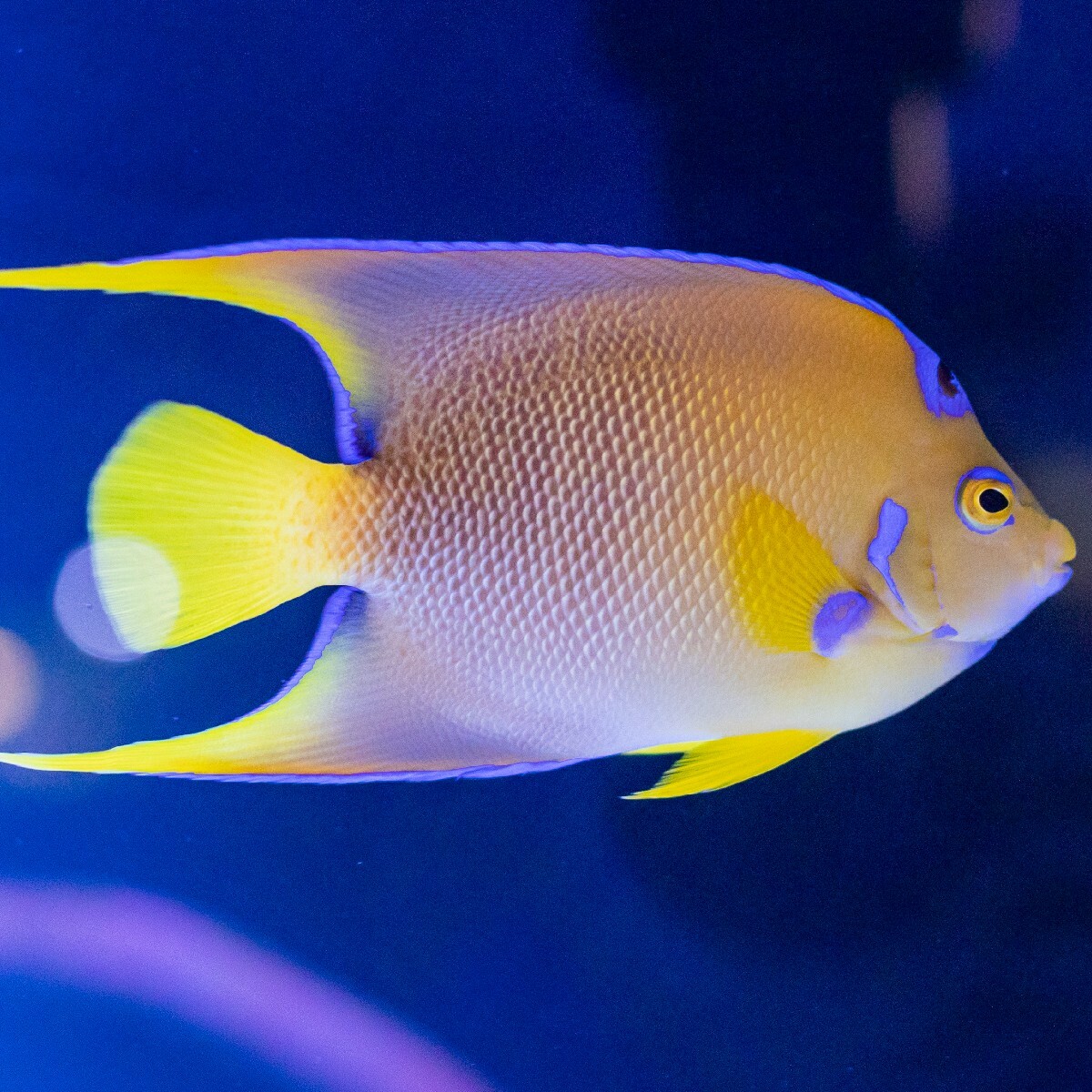 Clearwater Marine Aquarium