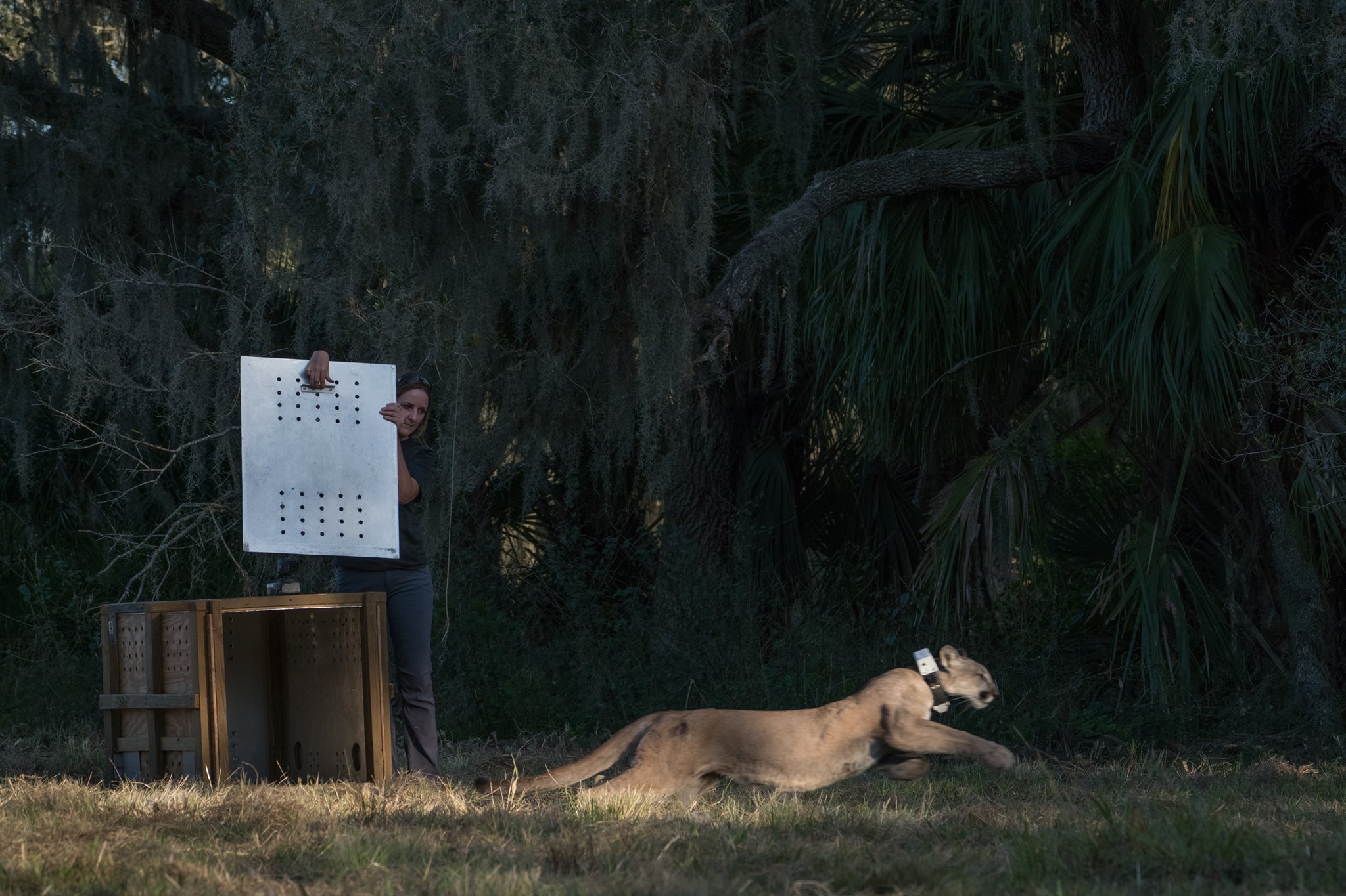 Florida Fishing and Wildlife Conservation Commission