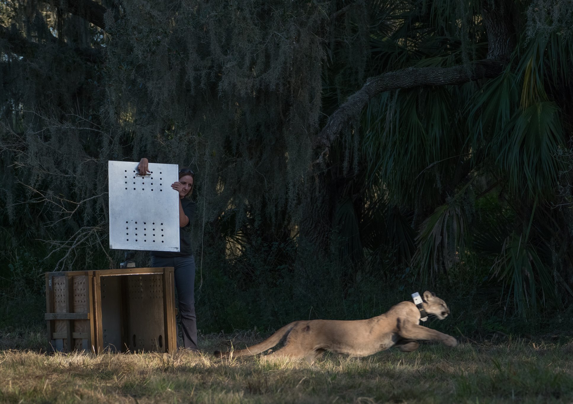 Florida Fishing and Wildlife Conservation Commission