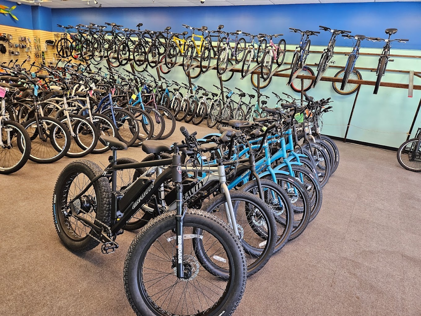 CycleSpectrum Bike Shop
