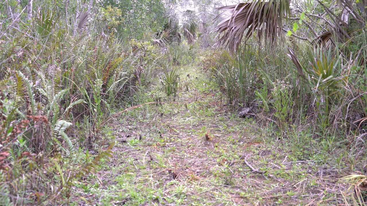 Florida Fishing and Wildlife Conservation Commission