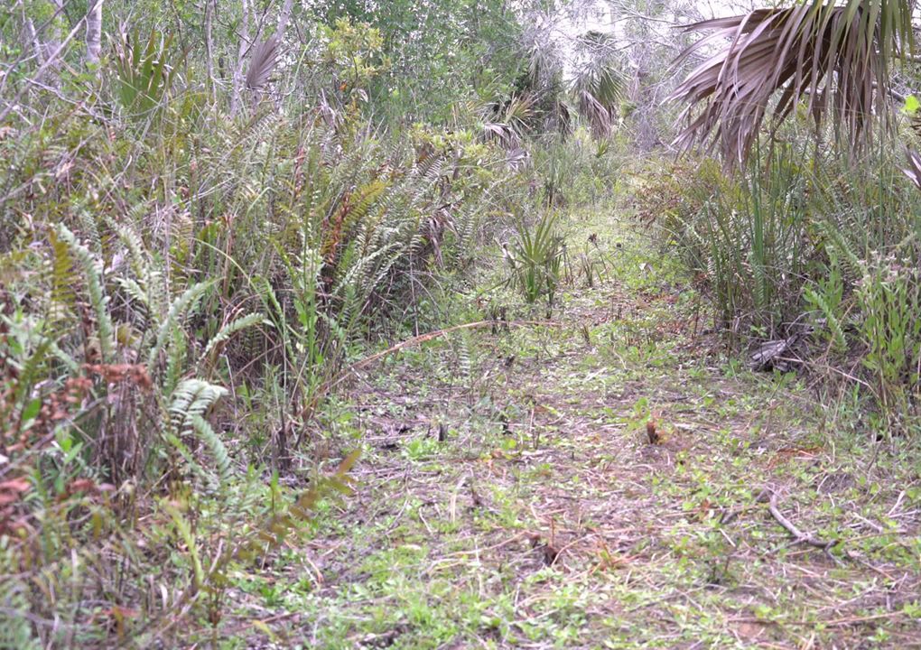 Florida Fishing and Wildlife Conservation Commission