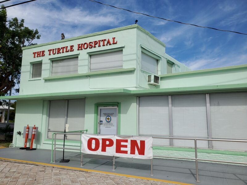 The Turtle Hospital