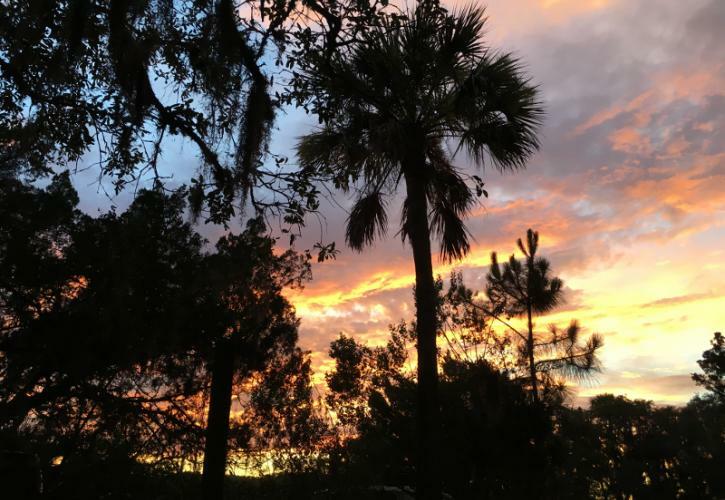 Big Talbot Island State Park