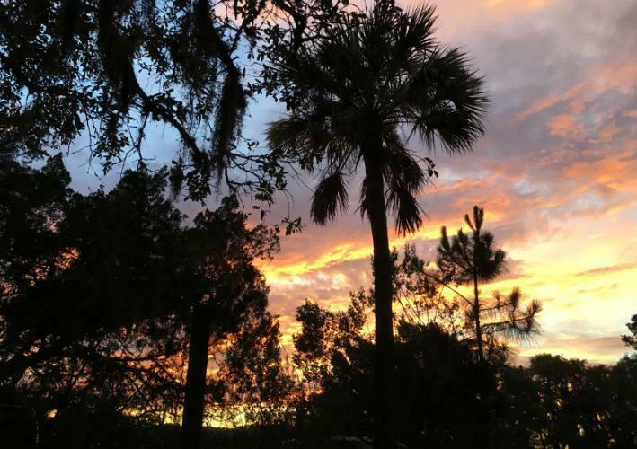 Big Talbot Island State Park