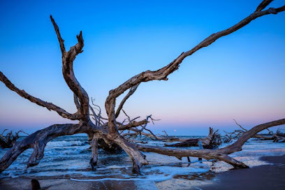 Big Talbot Island State Park