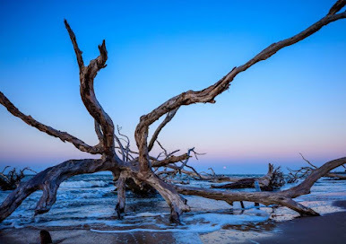 Big Talbot Island State Park