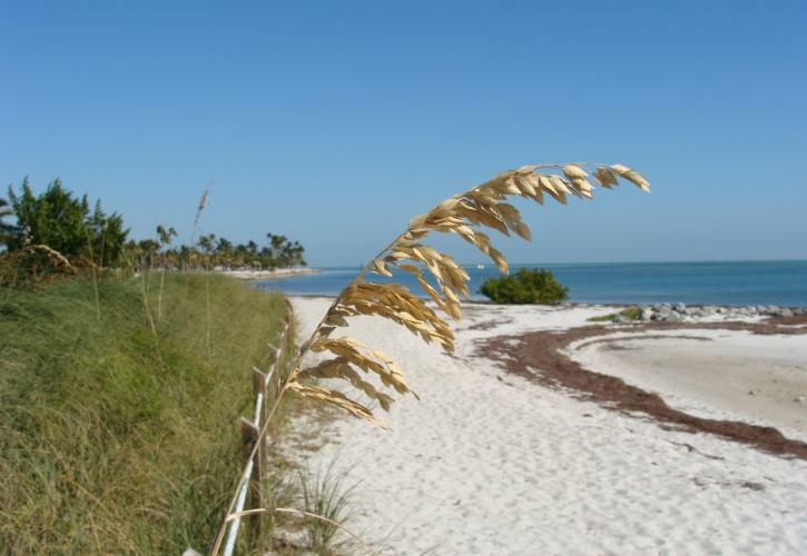 Curry Hammock State Park