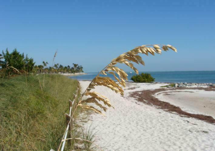 Curry Hammock State Park