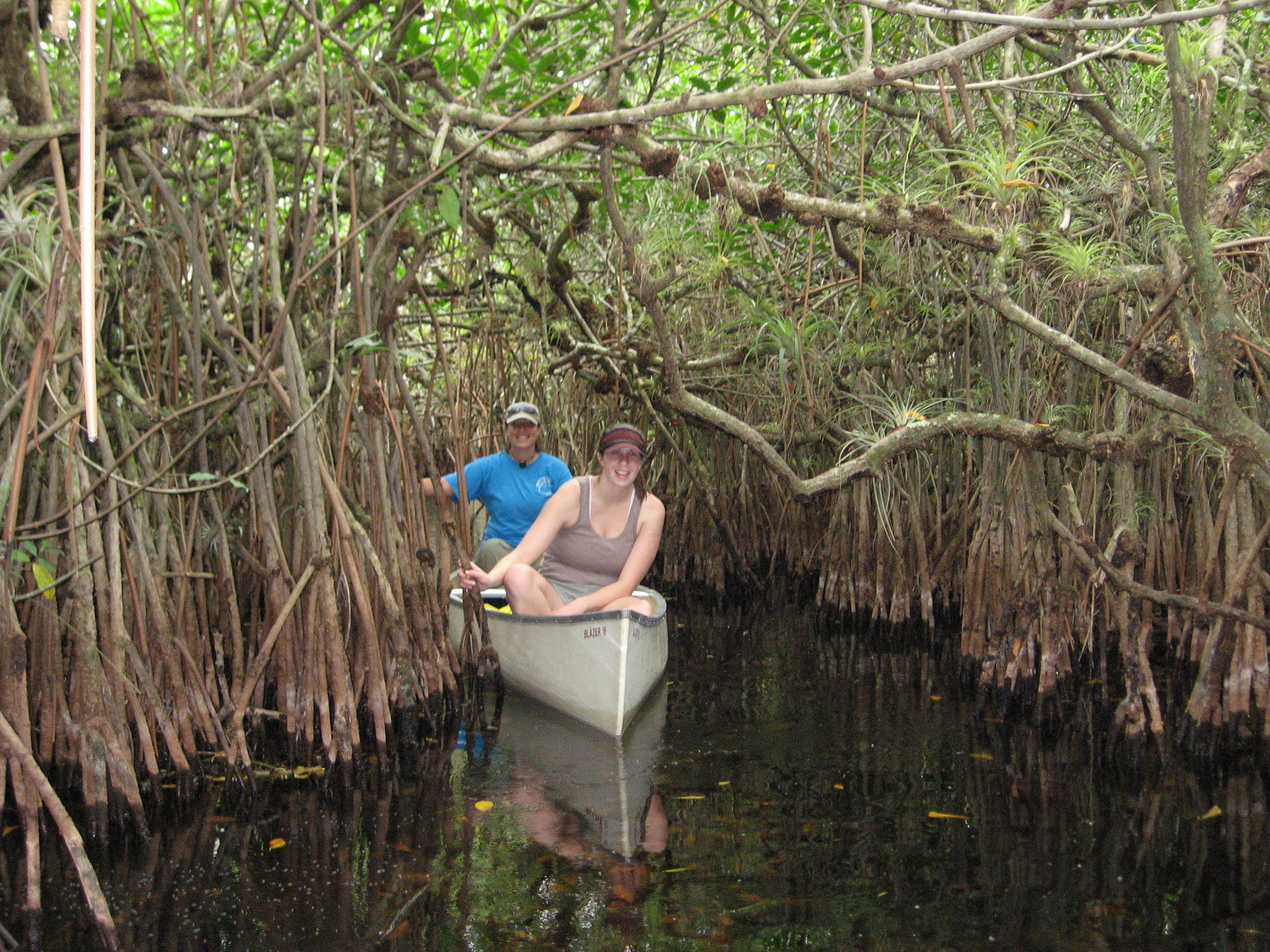 Big Cypress National Preserve
