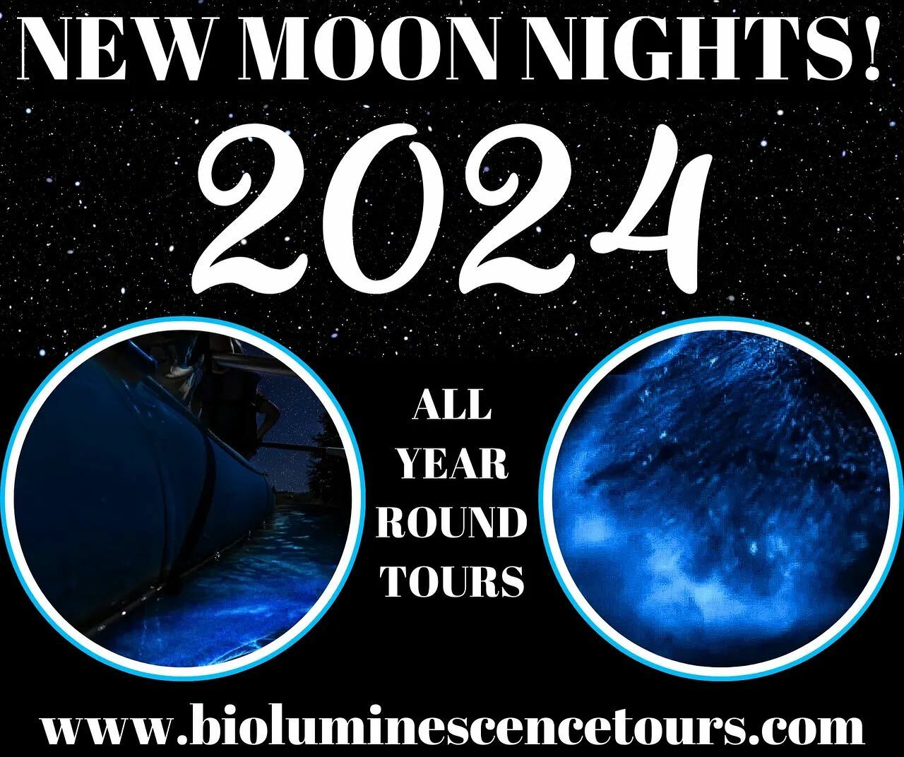 Florida Bioluminescence Tours