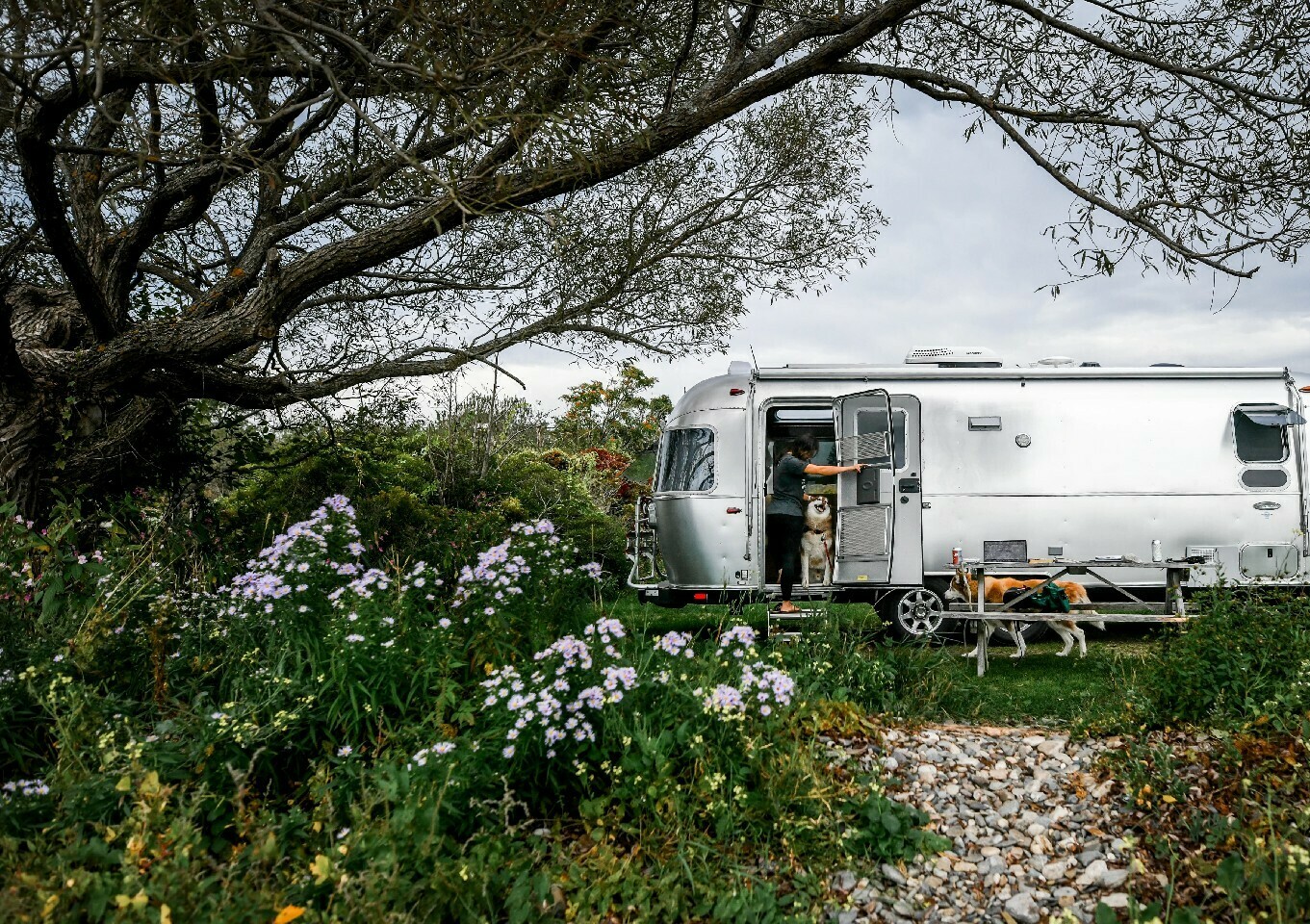 Airstream